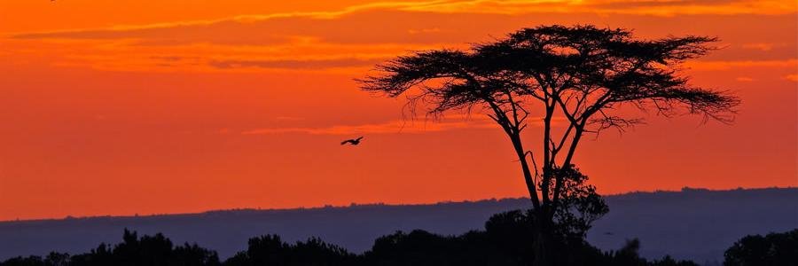 AsaBosire's profile banner image