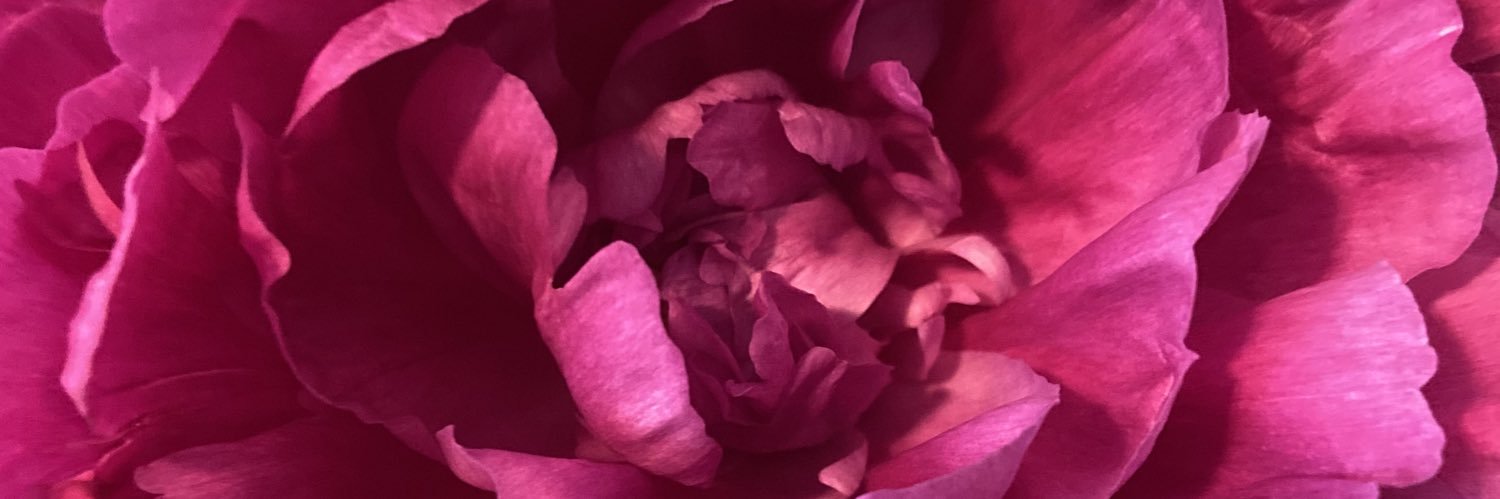 giaraeana's profile banner image