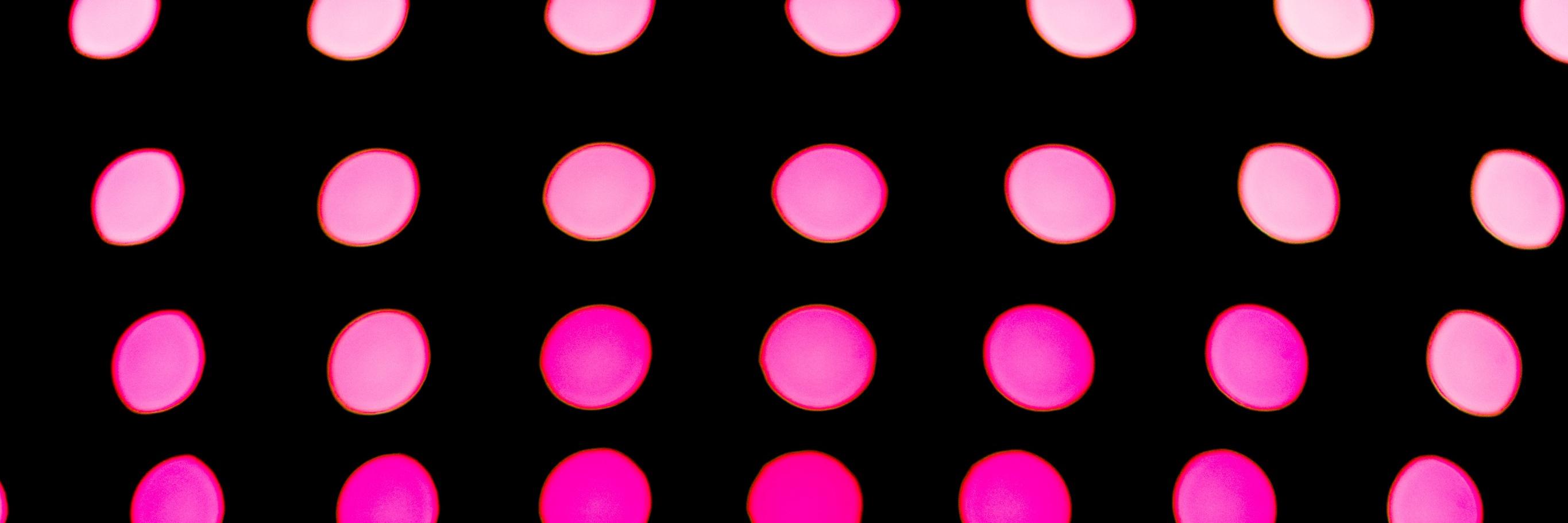 dicdacc's profile banner image