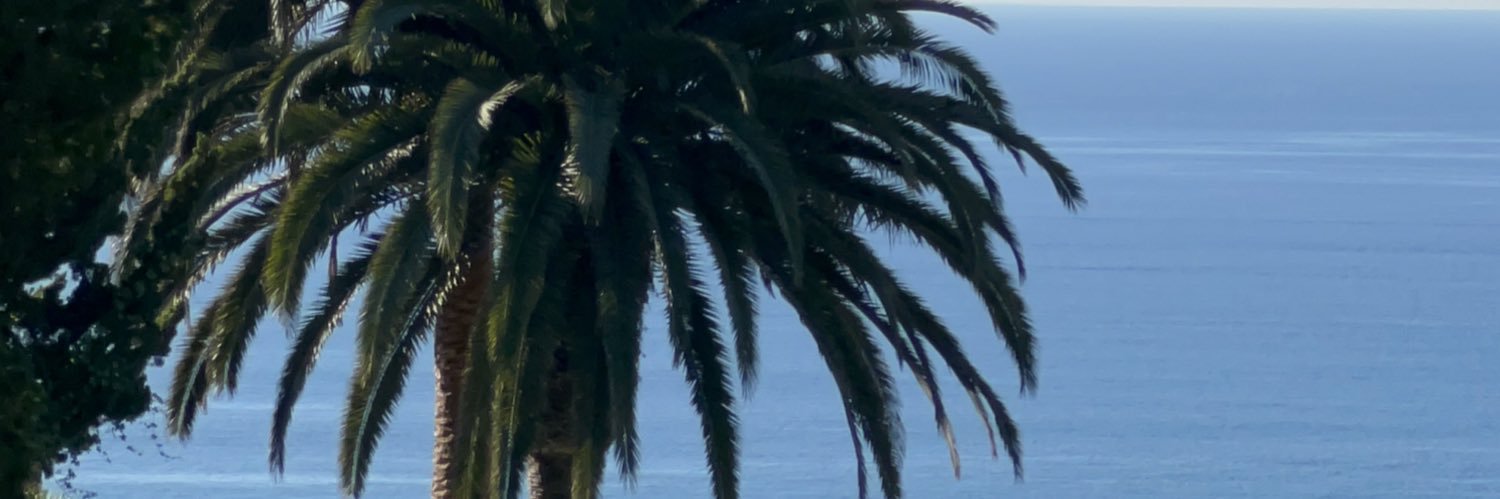 laurenfaust18's profile banner image