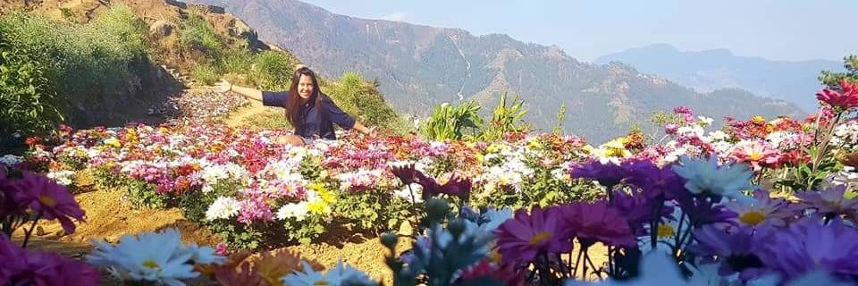 itsvanessaster's profile banner image