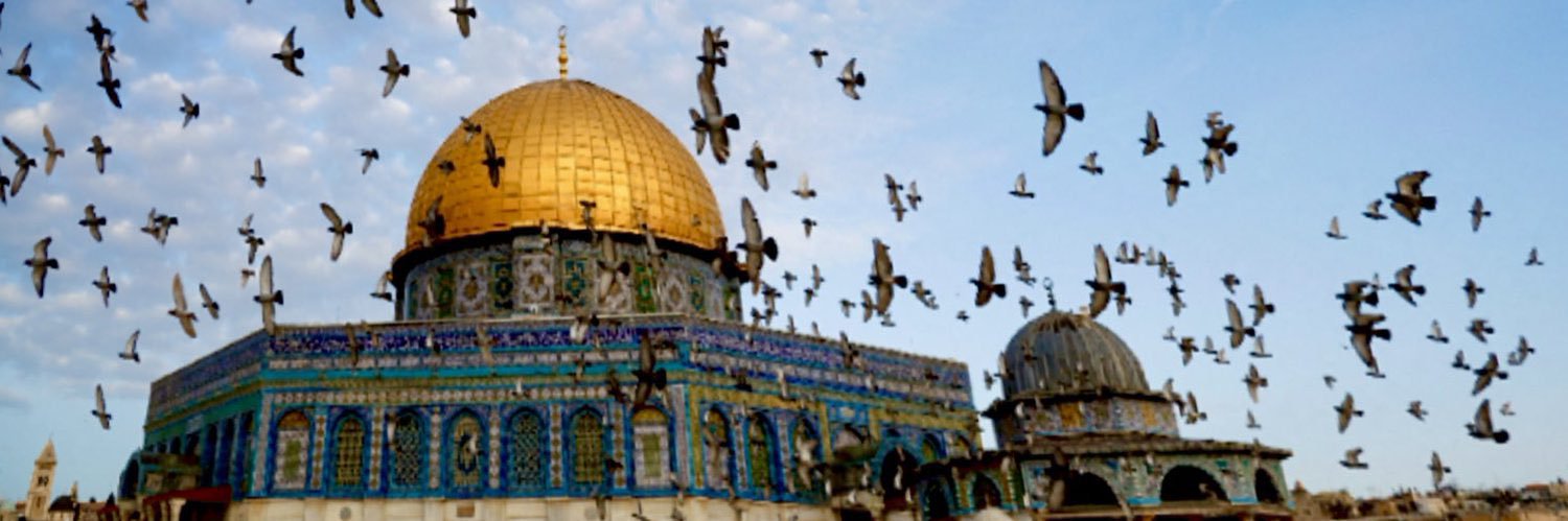 Kuwait_Knight banner