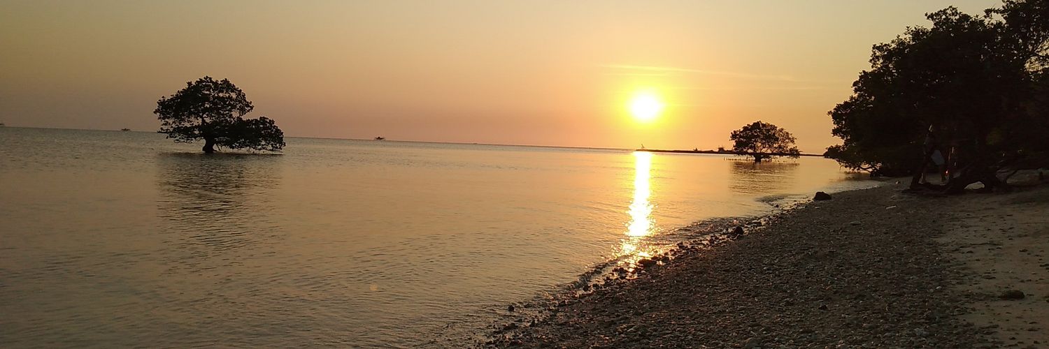 barnaz_03's profile banner image