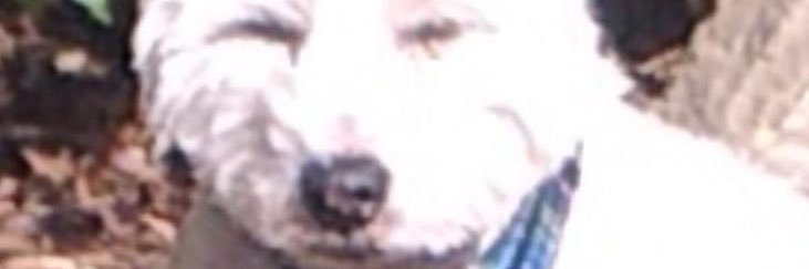 Jamesfogarty92's profile banner image