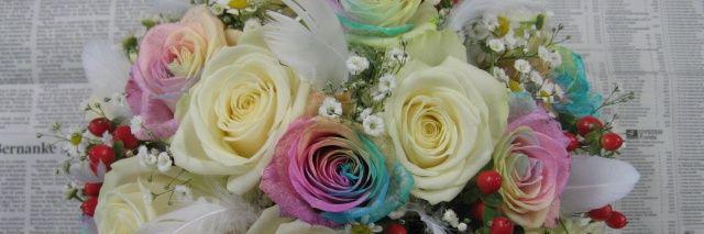 minto_2416's profile banner image