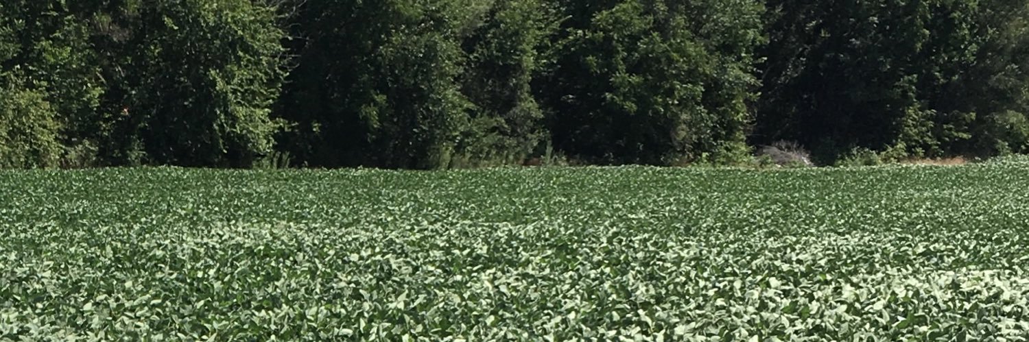 Todd Pedersen banner