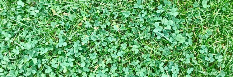 heathrmoor's profile banner image