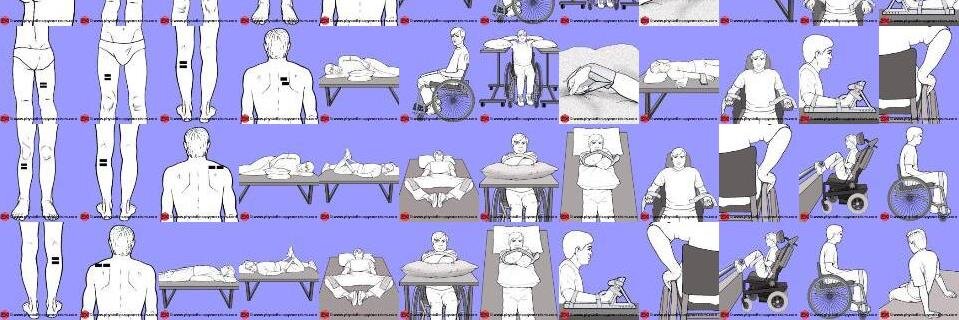 PhysioExercises's profile banner image