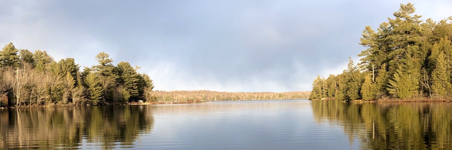 AmandaWilkins_'s profile banner image