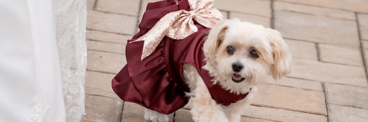 LittleLouie36's profile banner image