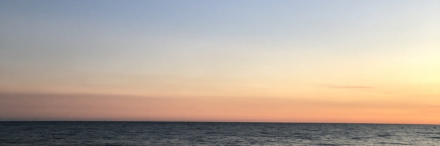 totaletrash's profile banner image