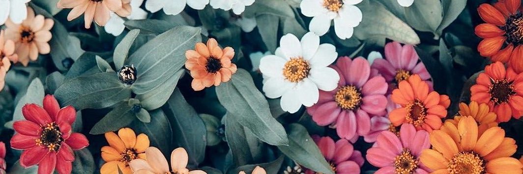 FivienLRW's profile banner image