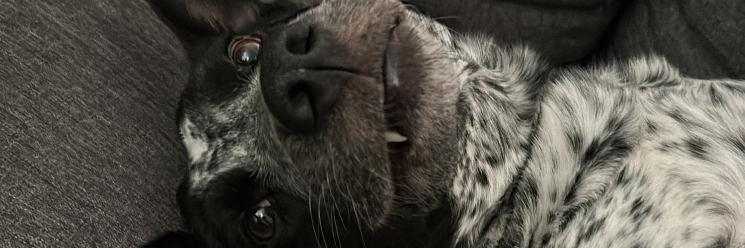 tonojimenezM's profile banner image
