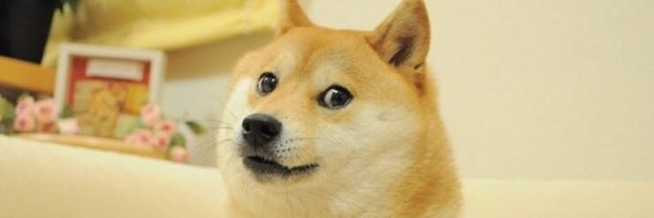 _Charus_'s profile banner image
