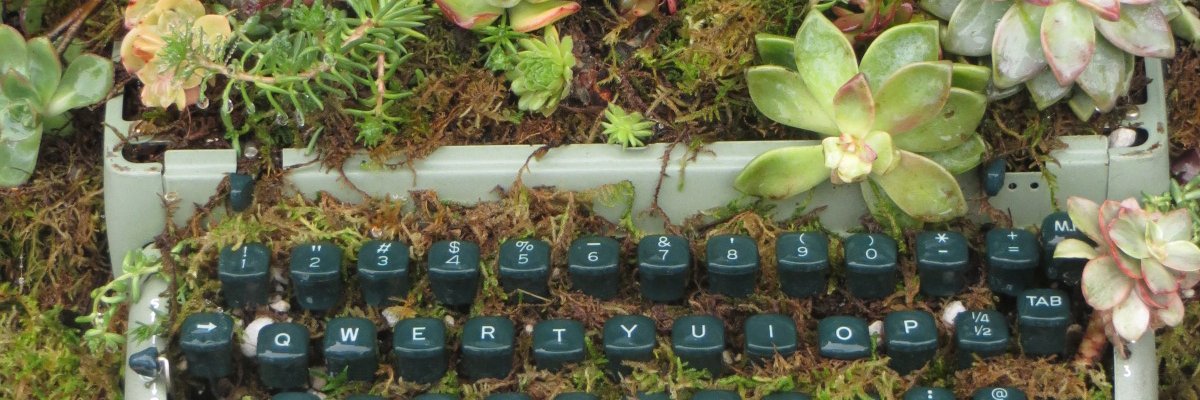 dcastrobenetti's profile banner image