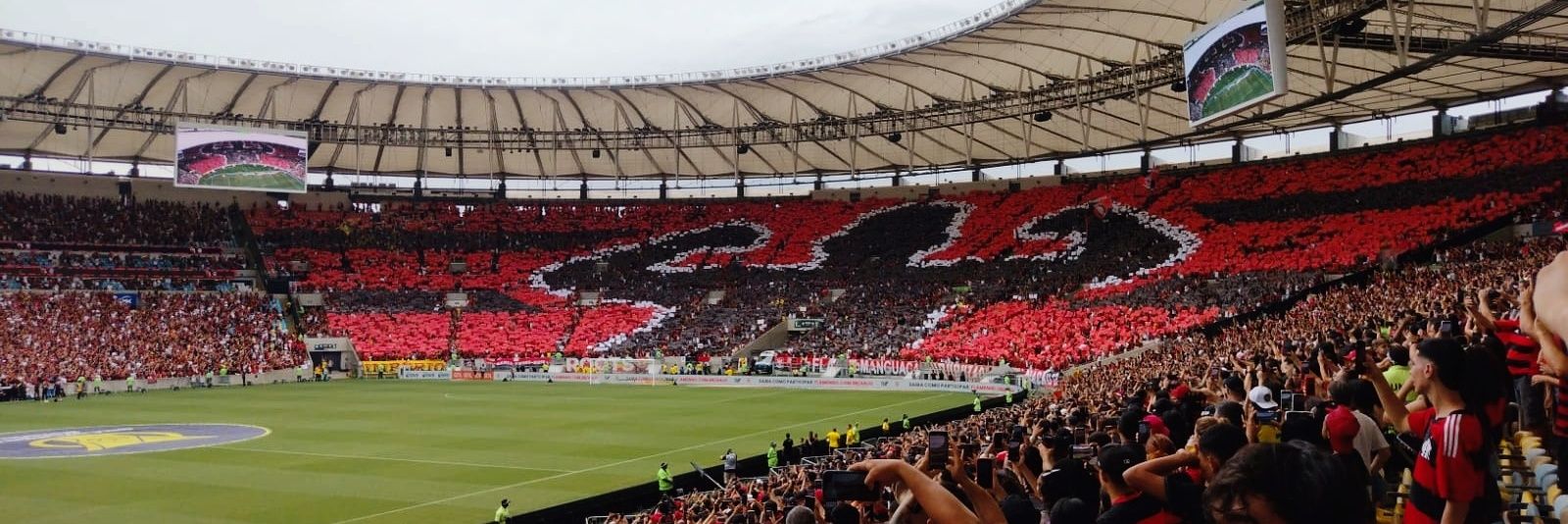 pedrao calvo aos 20 banner