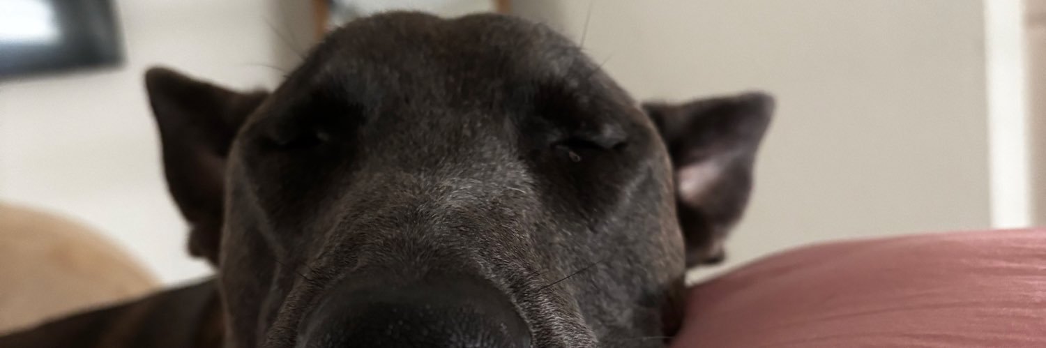 mackennashiver's profile banner image