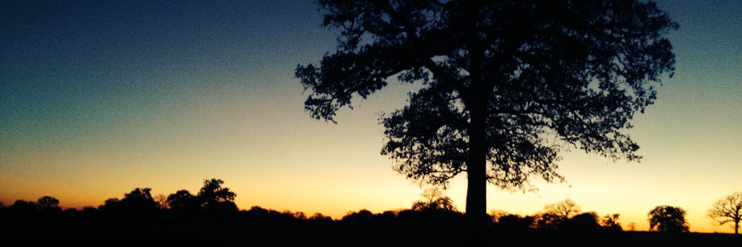 NeilGoldbergDFI's profile banner image