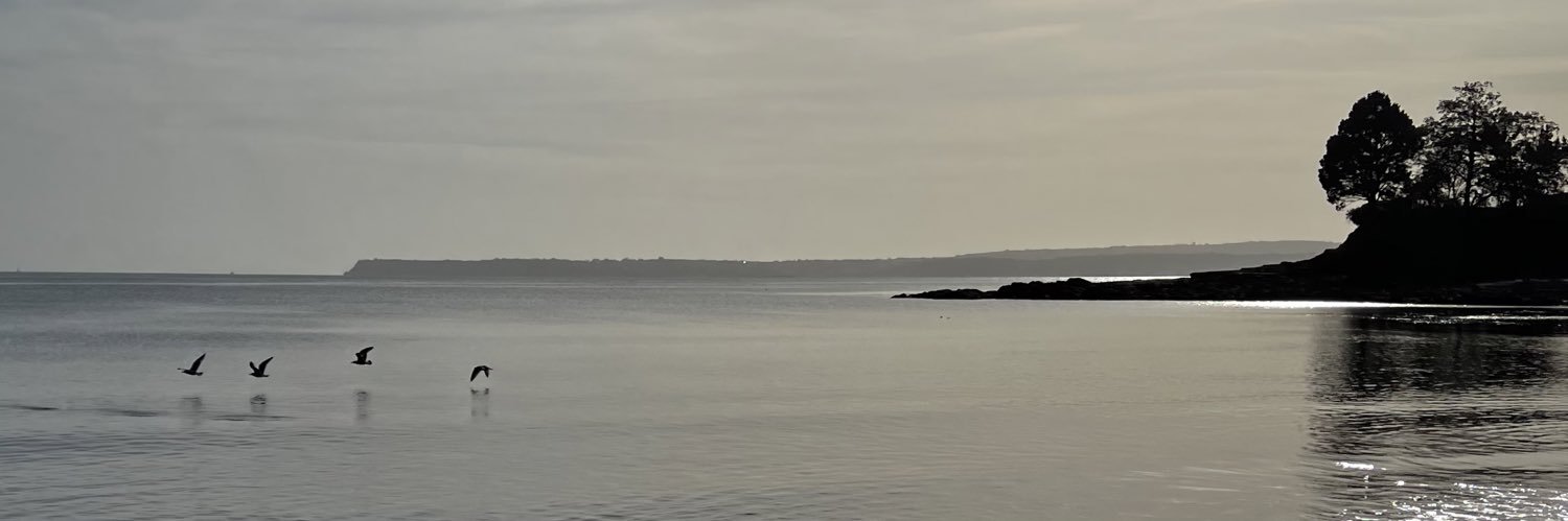 plmtclf's profile banner image