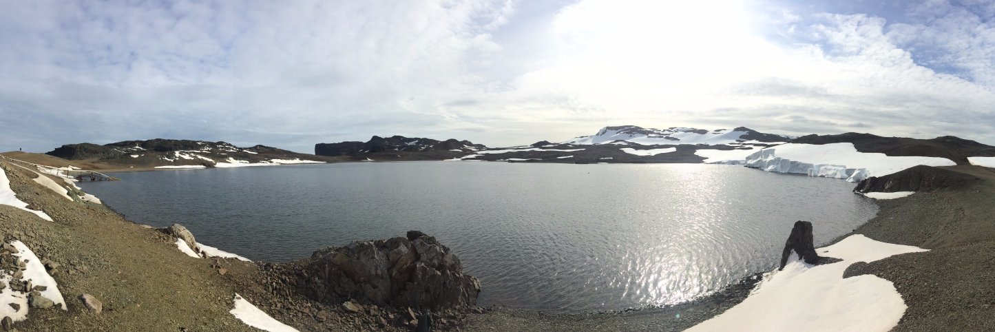 Felipe Simoes banner