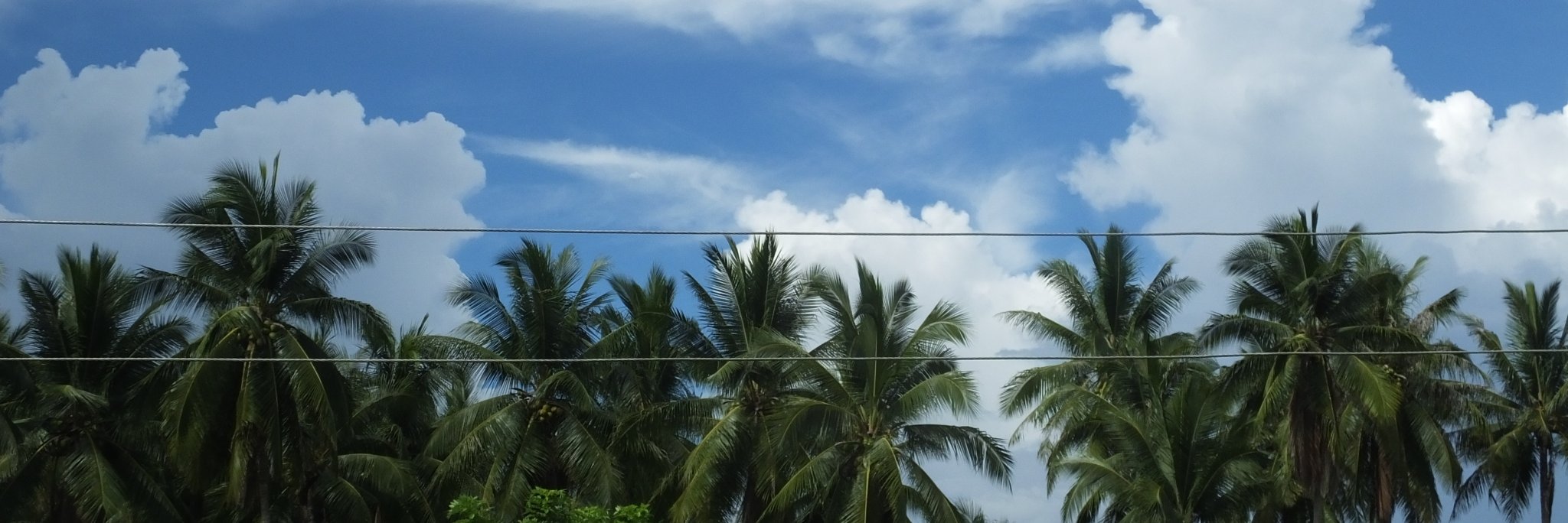 ShaynaYruma's profile banner image