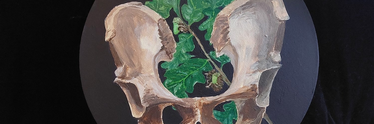 skelakit's profile banner image
