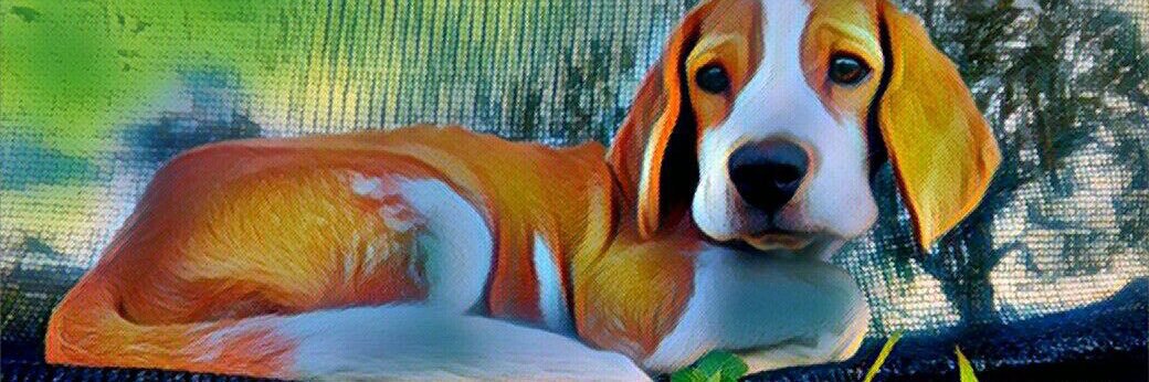 kildarspeed's profile banner image