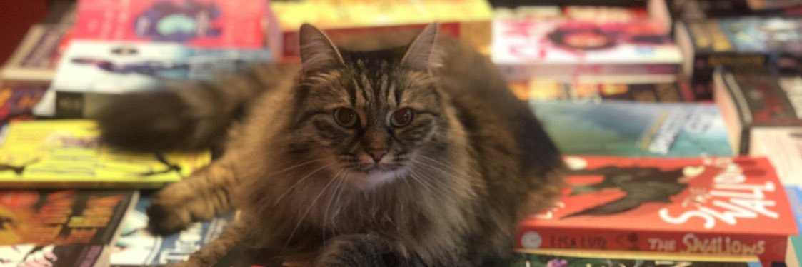 𝔻𝕖𝕟𝕚𝕤𝕖 𝕎𝕖𝕚𝕟𝕥𝕣𝕒𝕦𝕥 - Support #FReadom banner