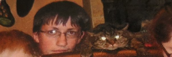 BeeEatingChamp's profile banner image