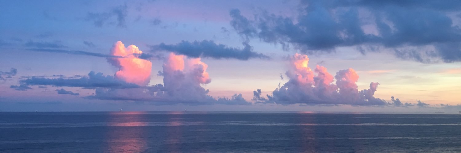 EvMichael_'s profile banner image