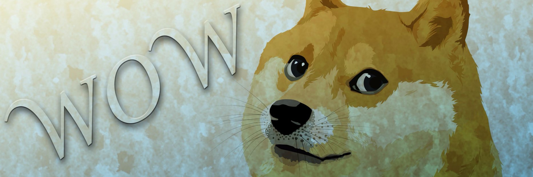 VeggieNinja23's profile banner image
