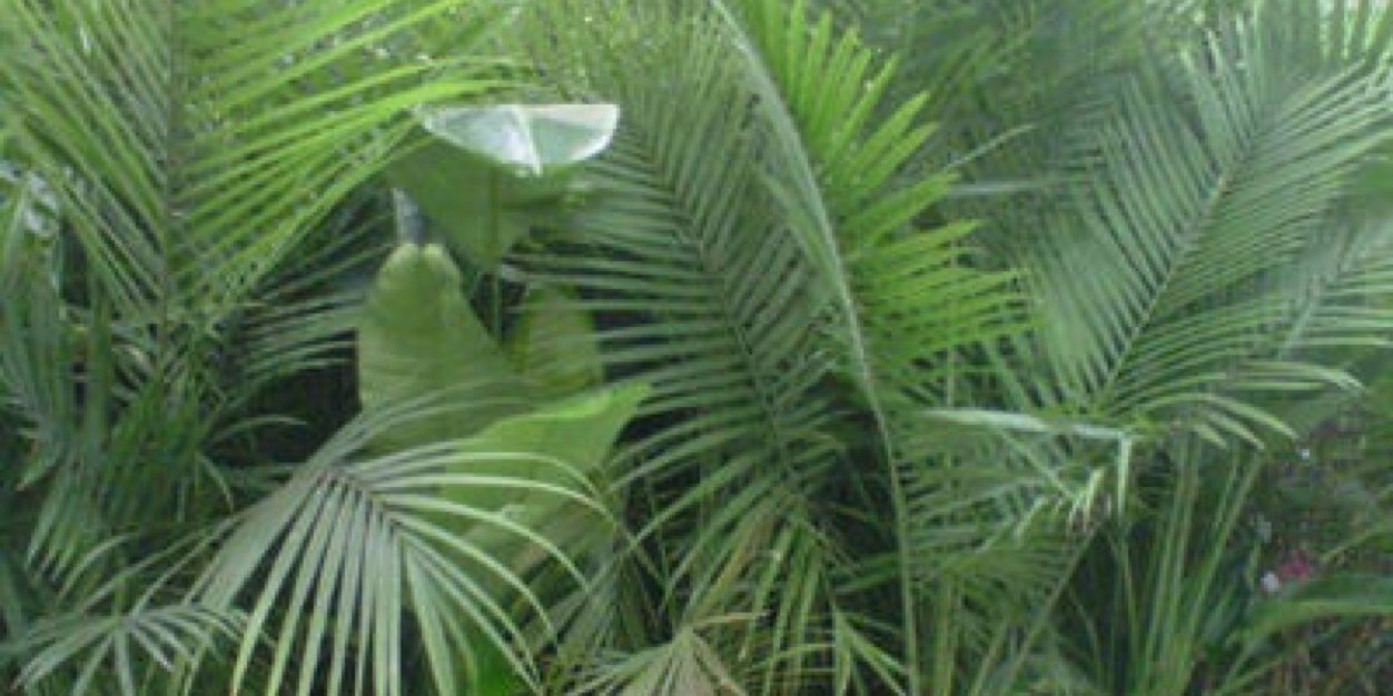 kimRPGTTS2's profile banner image