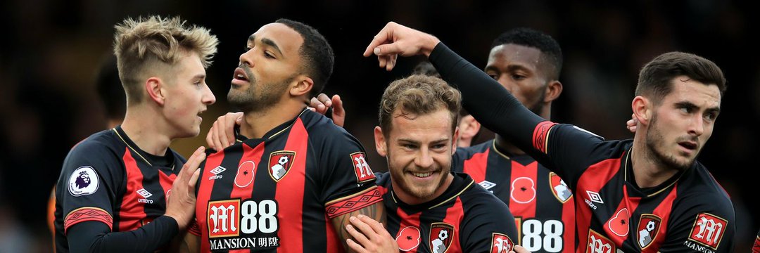 AFC Bournemouth banner
