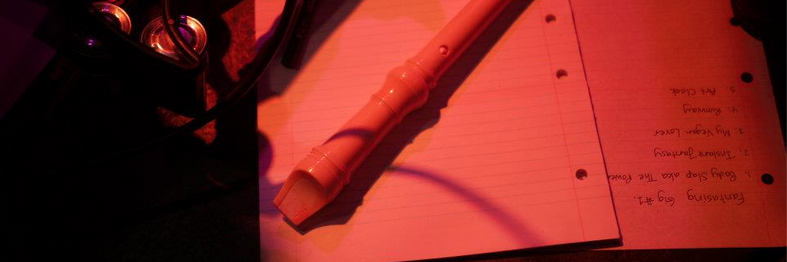 Sarah Jane Teurakura Parton banner