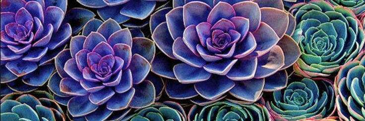 EarthLinh's profile banner image