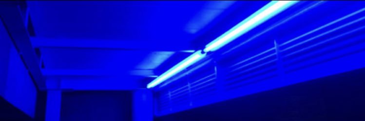 rudxbxtch's profile banner image