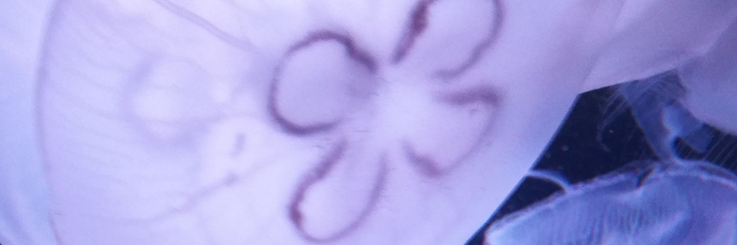salix0038's profile banner image