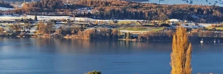 AnneObz's profile banner image