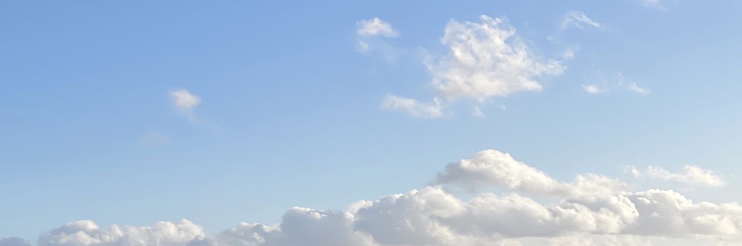 Paige banner