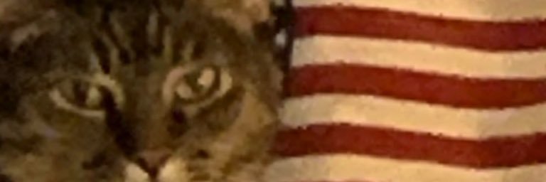 JGill “████ ██" MAGA🍊🇺🇸 #turn22to0 banner
