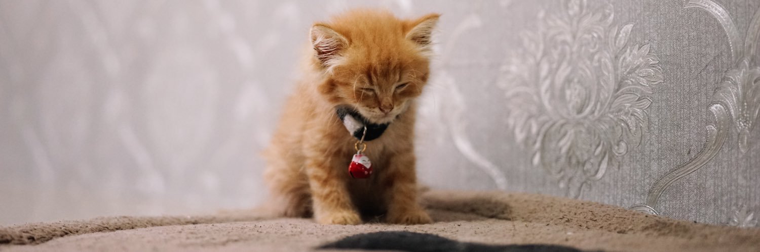 jacobblek's profile banner image