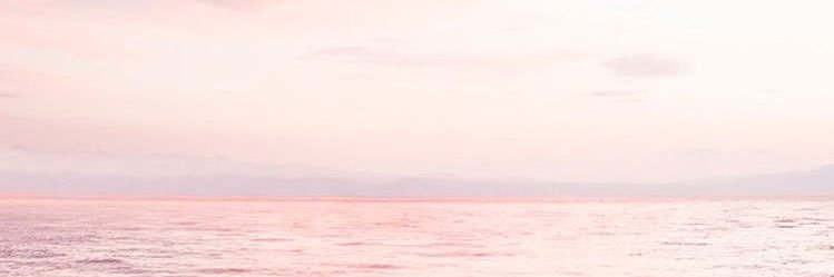 Chloé banner