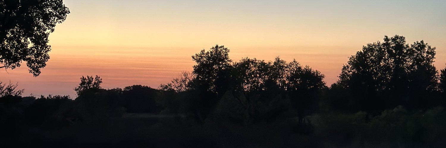 laneyyjos's profile banner image