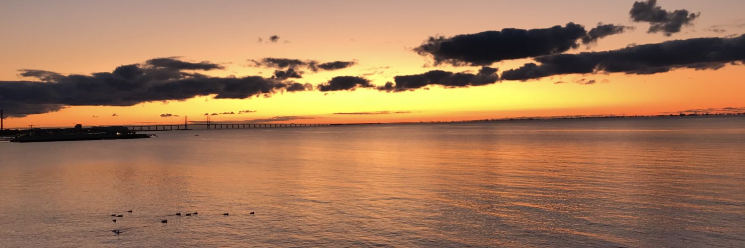 snej75's profile banner image