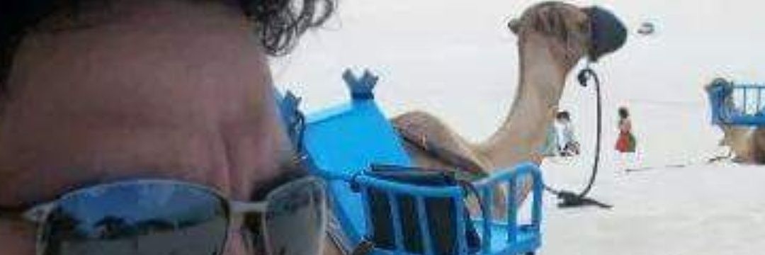 LEOLrgp's profile banner image