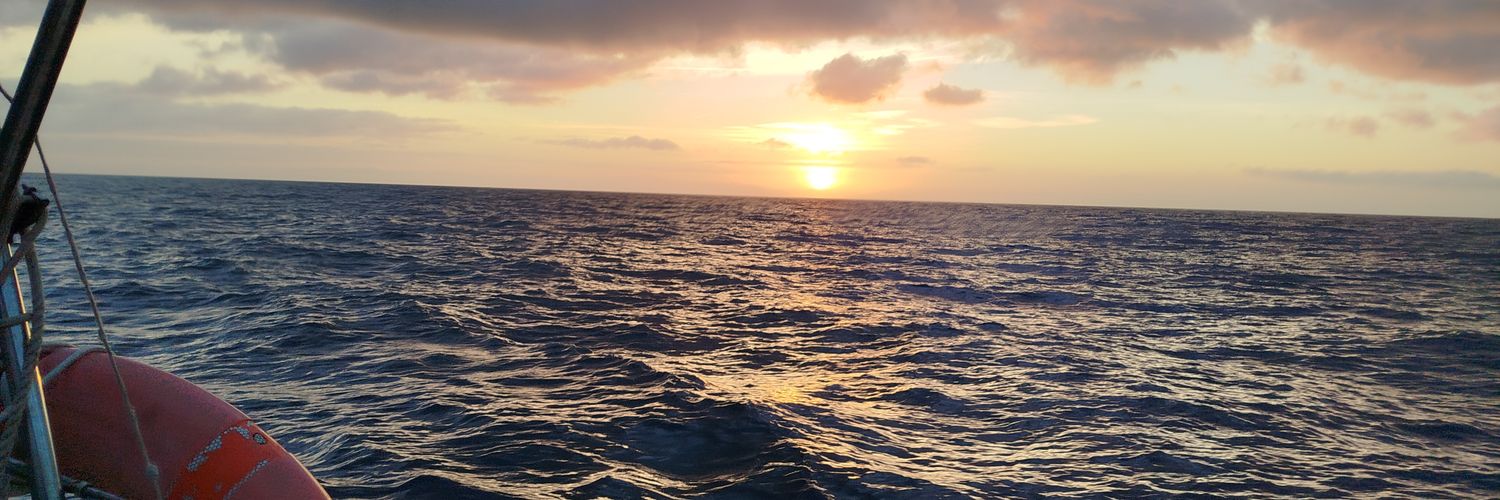 David Vinyals banner