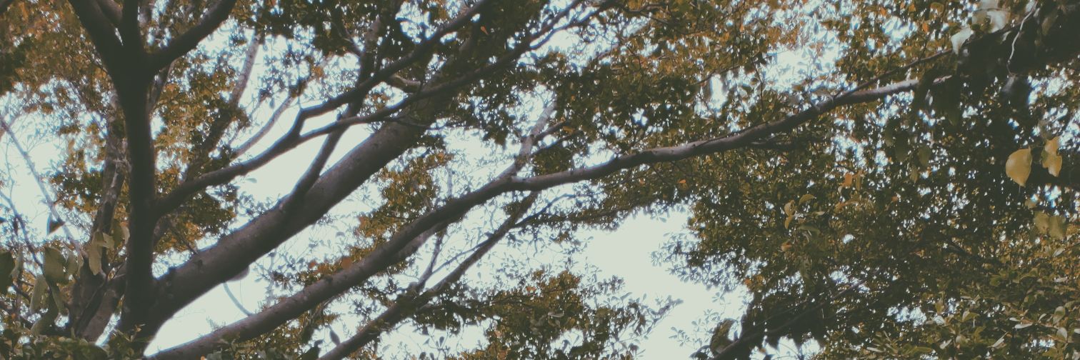 ahmadfakis's profile banner image