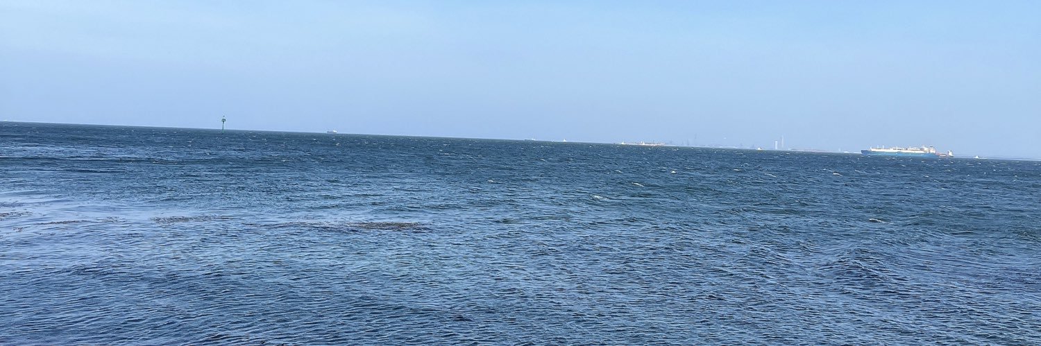 calpalter's profile banner image