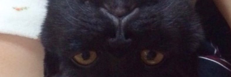 志島とひろ banner