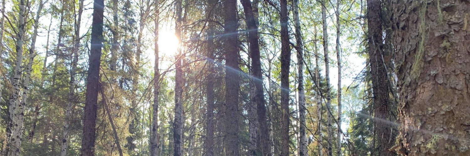 ShyByDefault's profile banner image